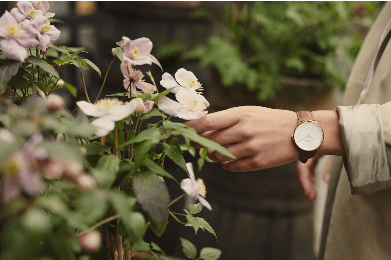 close-up image of a hand reaching out to touch a flower – wearing a brown and gold watch