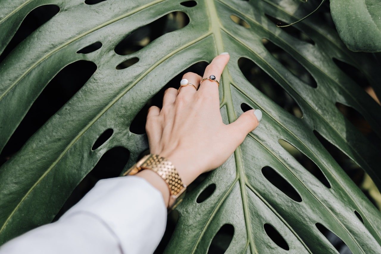 a woman’s arm wearing a yellow gold watch reaching to touch a large leaf