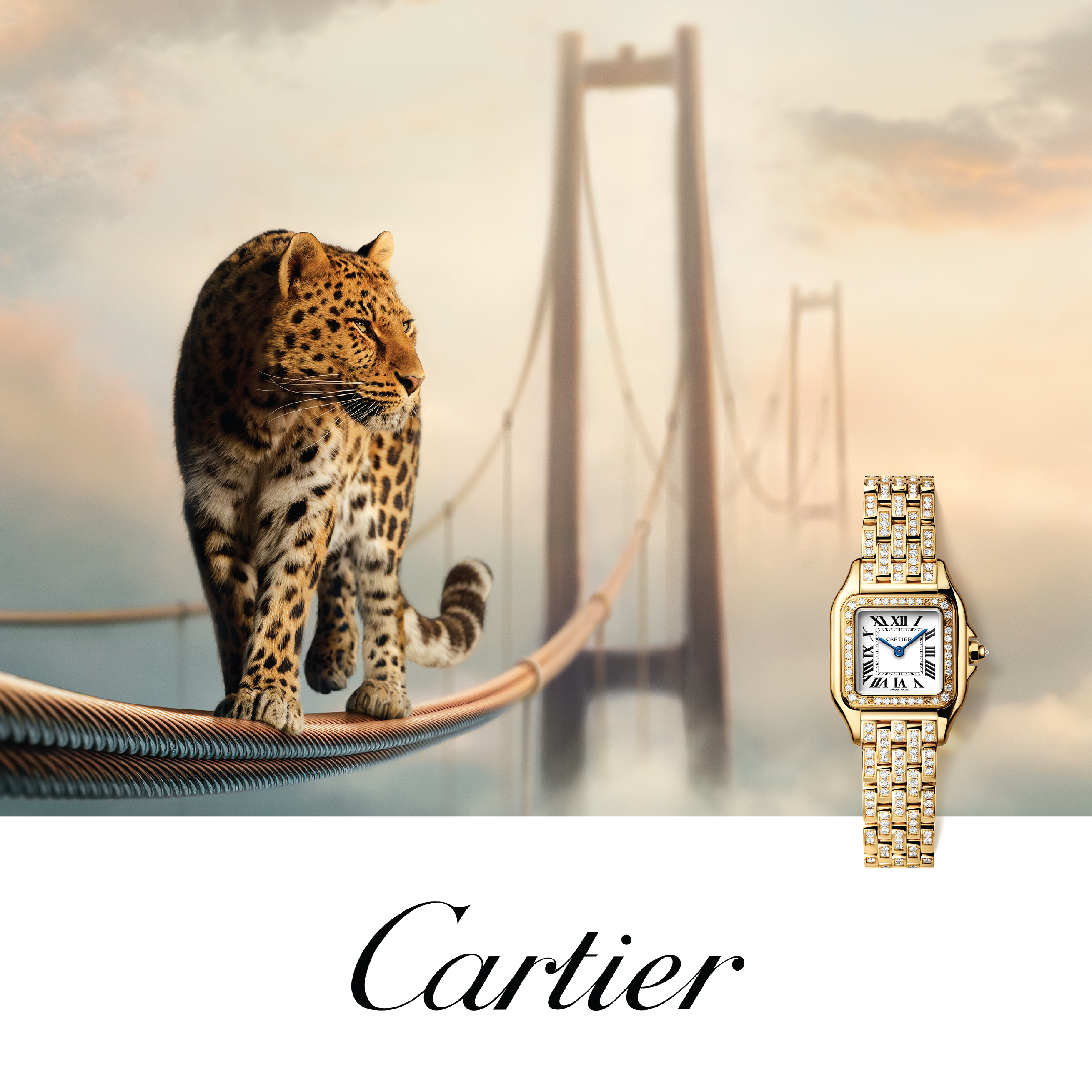 Cartier Cartier