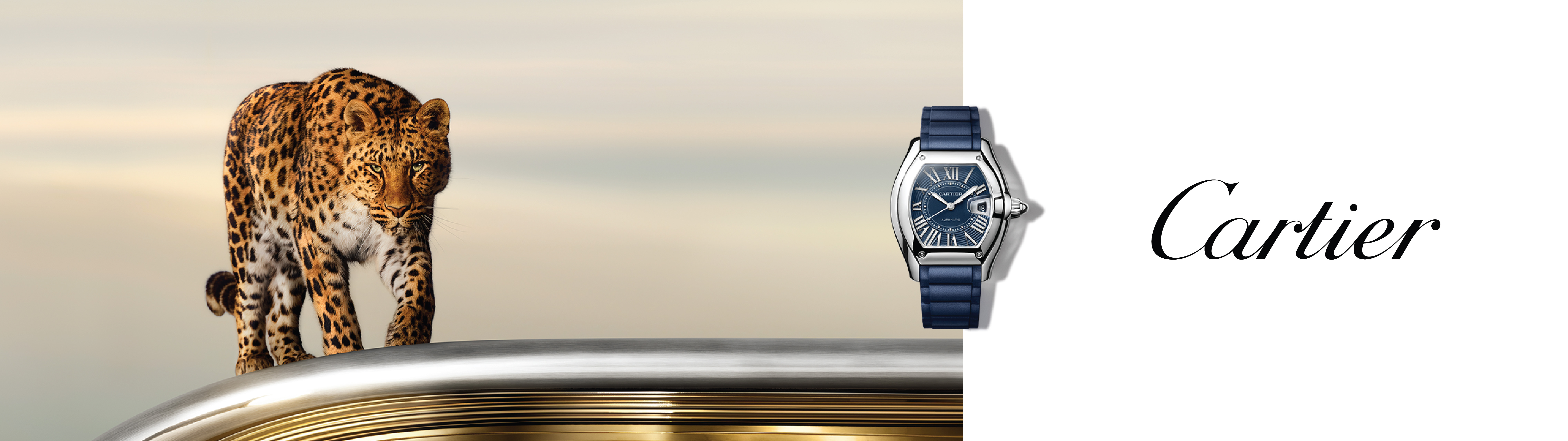 Cartier Cartier