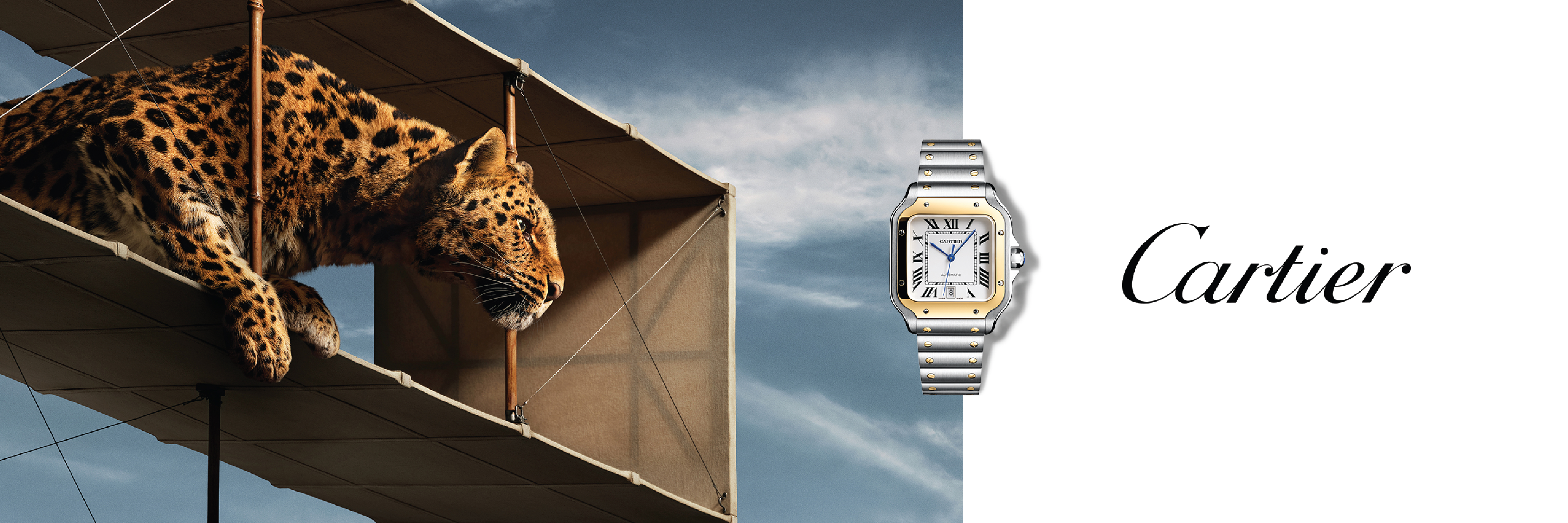 Cartier Banner Cartier Banner
