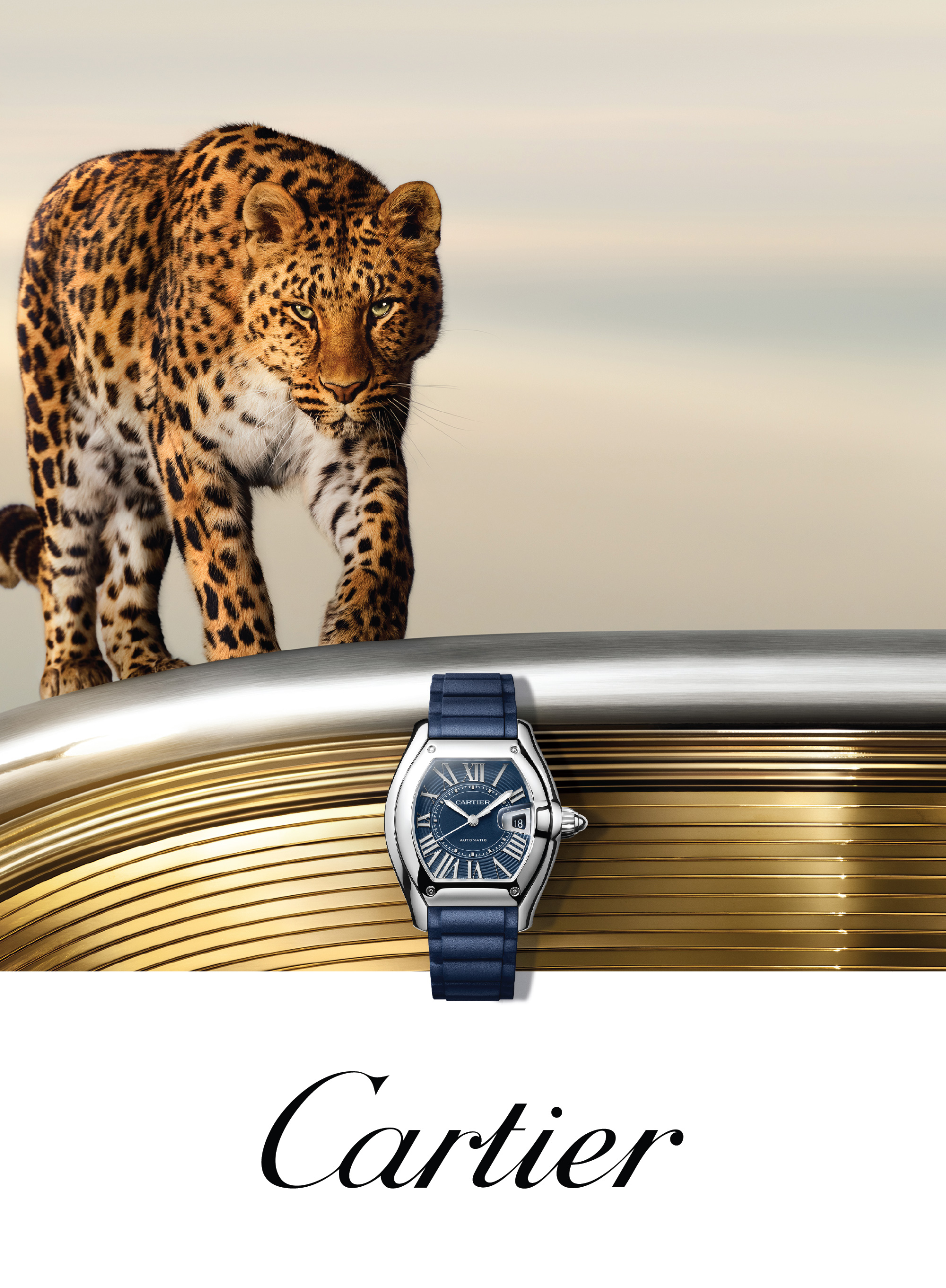 Cartier Cartier
