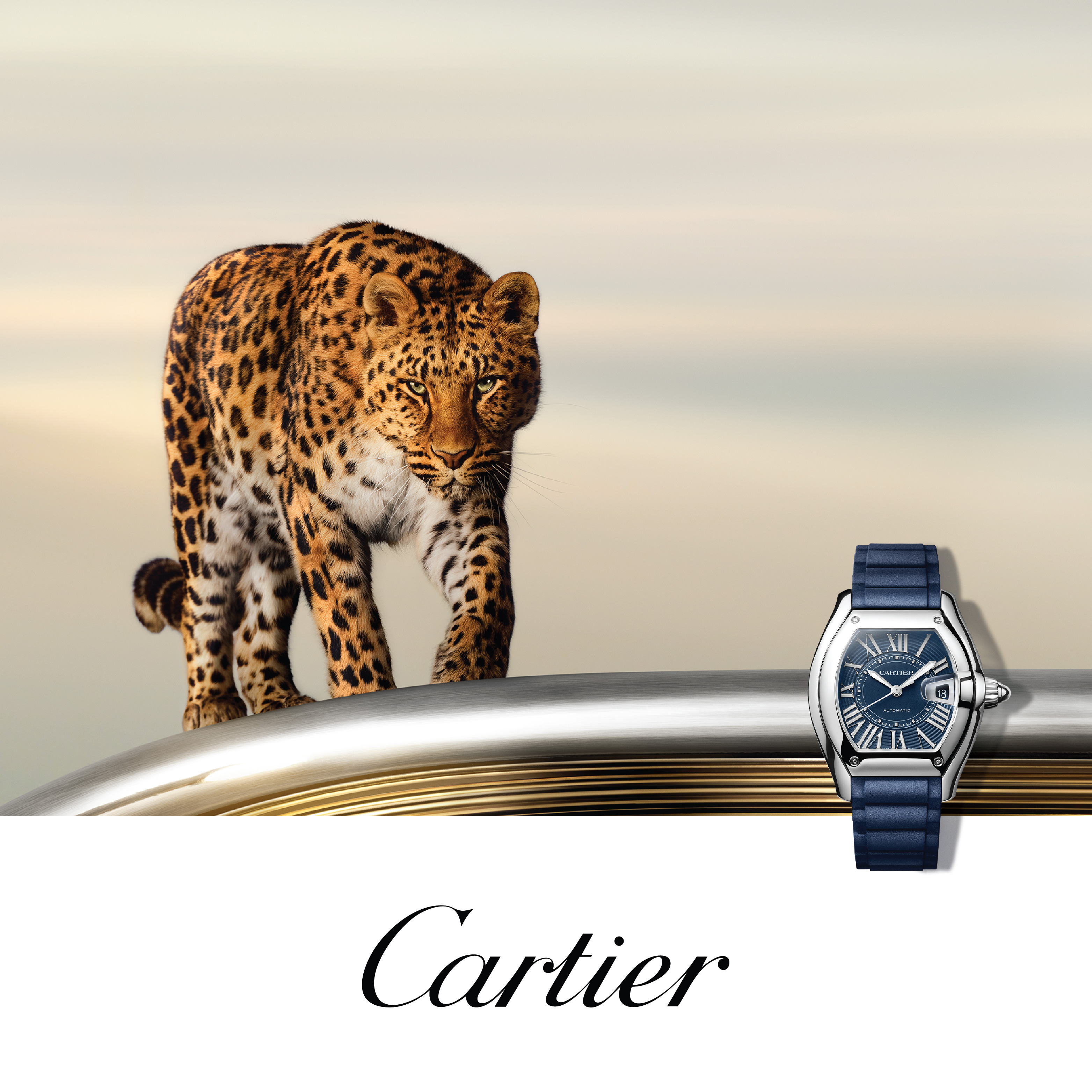 Cartier Cartier