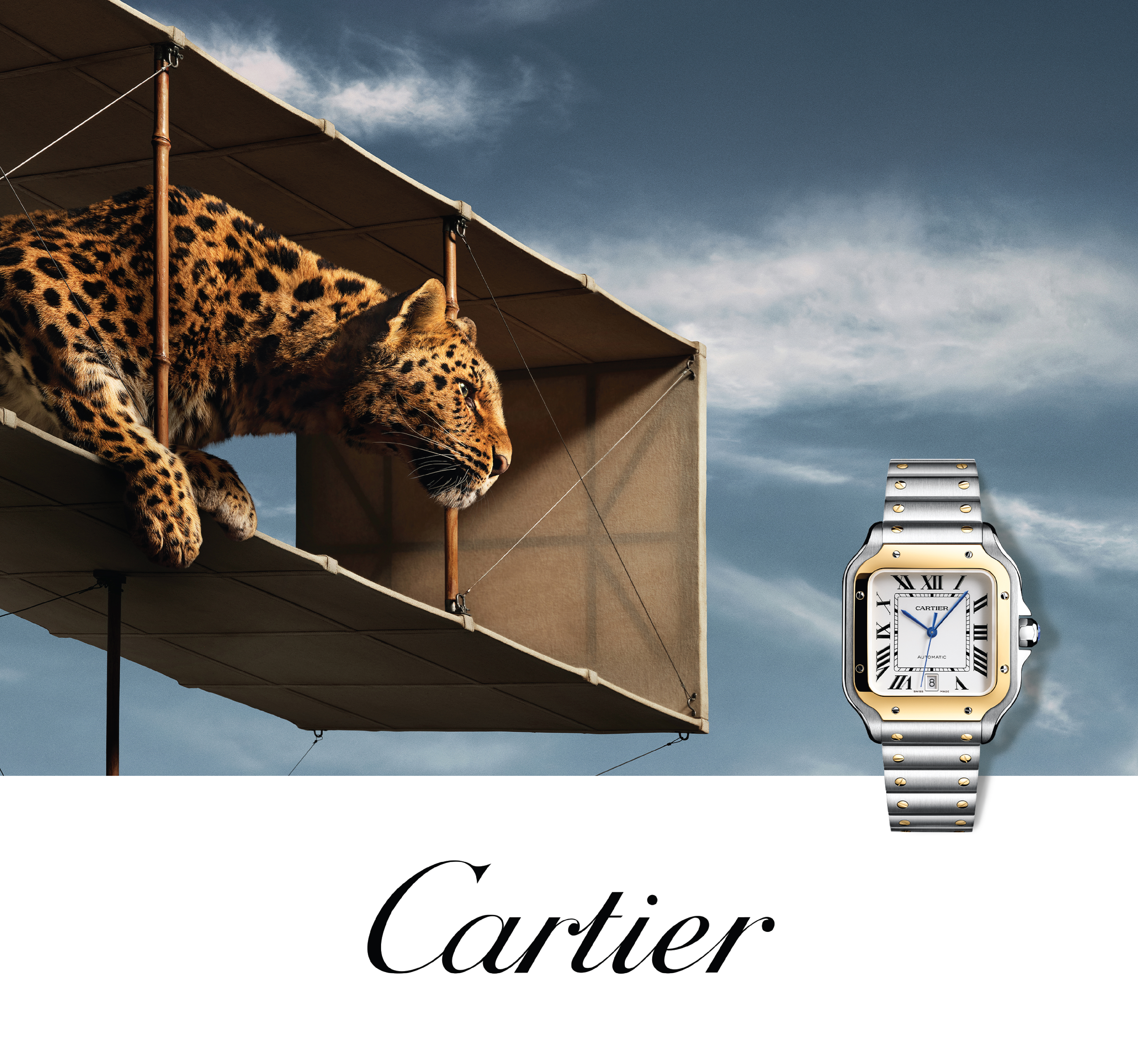 Cartier Banner Cartier Banner